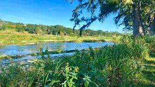 Riverside walk in Kerrville from PDA
