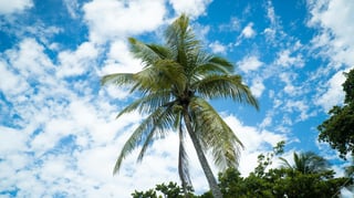 Sinjin-Thomas-Unsplash