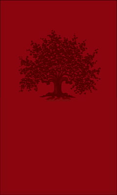 book of common worship image 2026